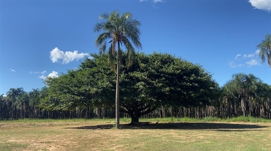 Imagem da estrutura 17