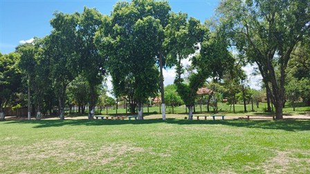 Imagem da estrutura 23